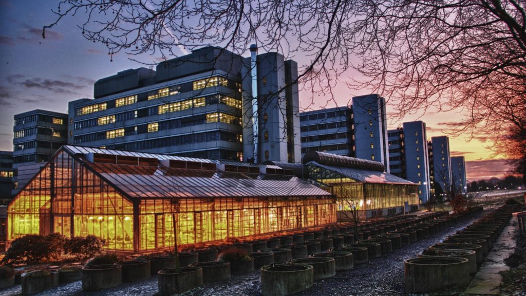 University of Bielefeld, Germany