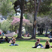 Paul Valery University Montpellier 3, France